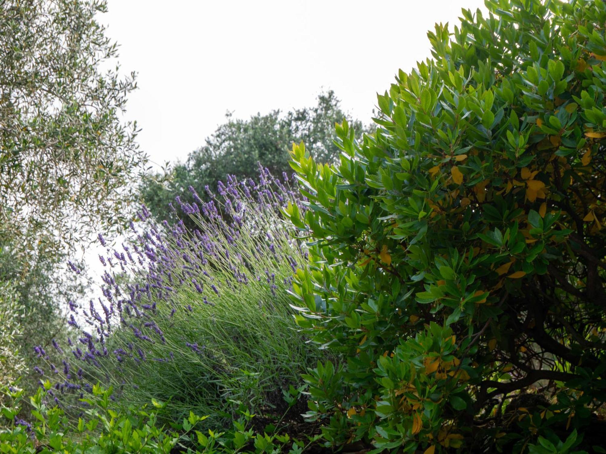 Agri Borgata Vallone - Apartments - By Host4U Lecchiore Εξωτερικό φωτογραφία